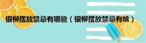 銀柳風水|2023年銀柳風水擺放禁忌有哪些？